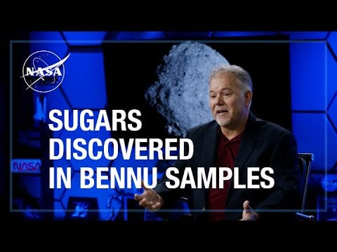 Bio-Essential Sugars Discovered in Samples from Asteroid Bennu