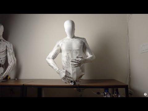 Torso 2 by Clone with Actuated Abdomen