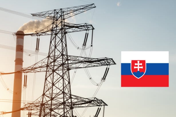 elektrina slovensko