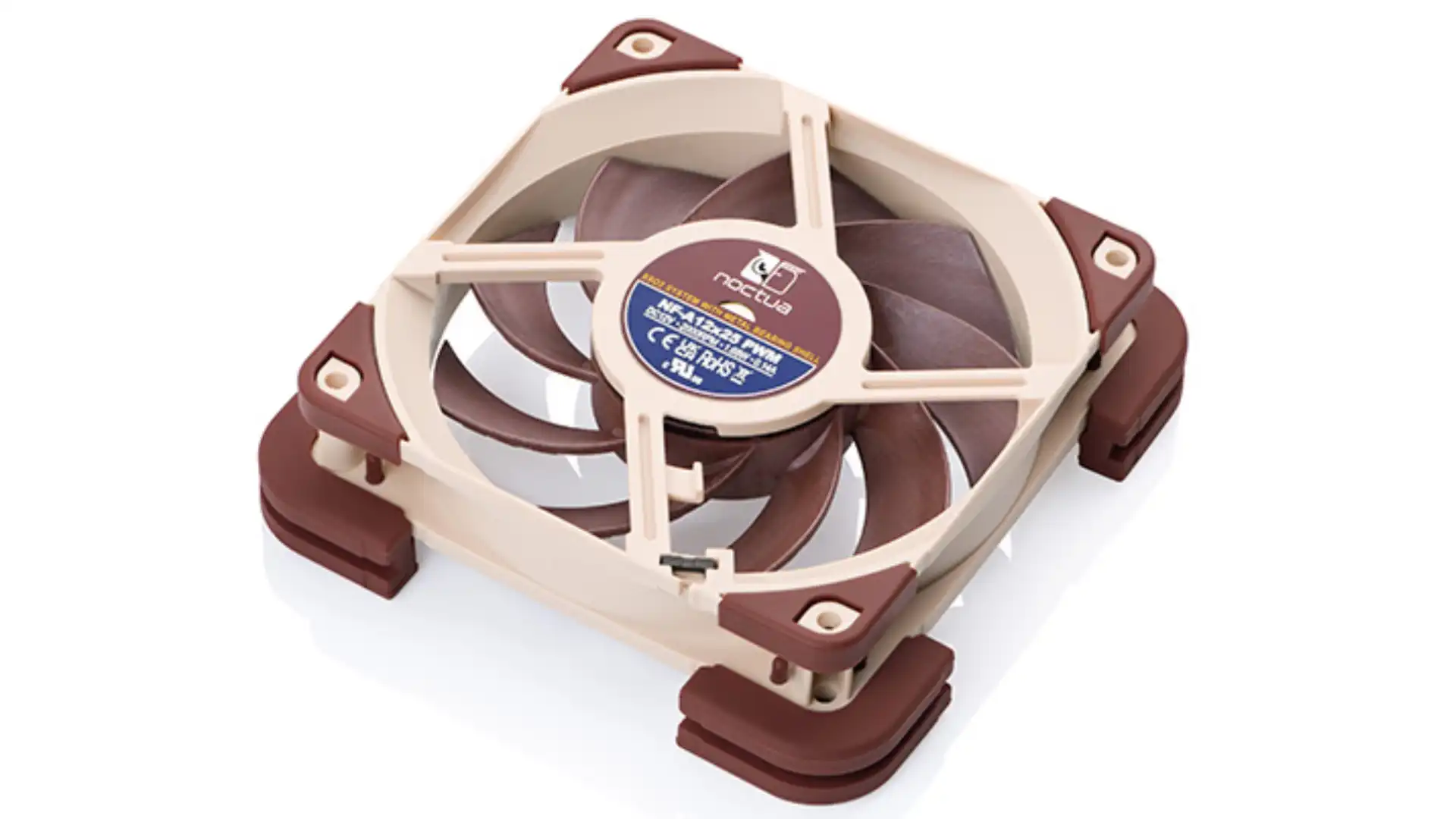 noctua