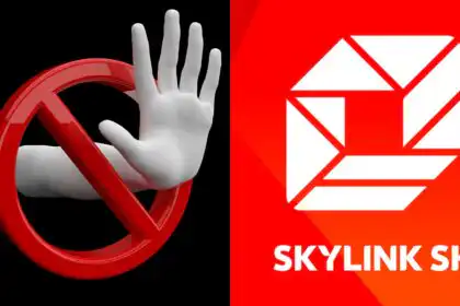 České stanice v Skylinku