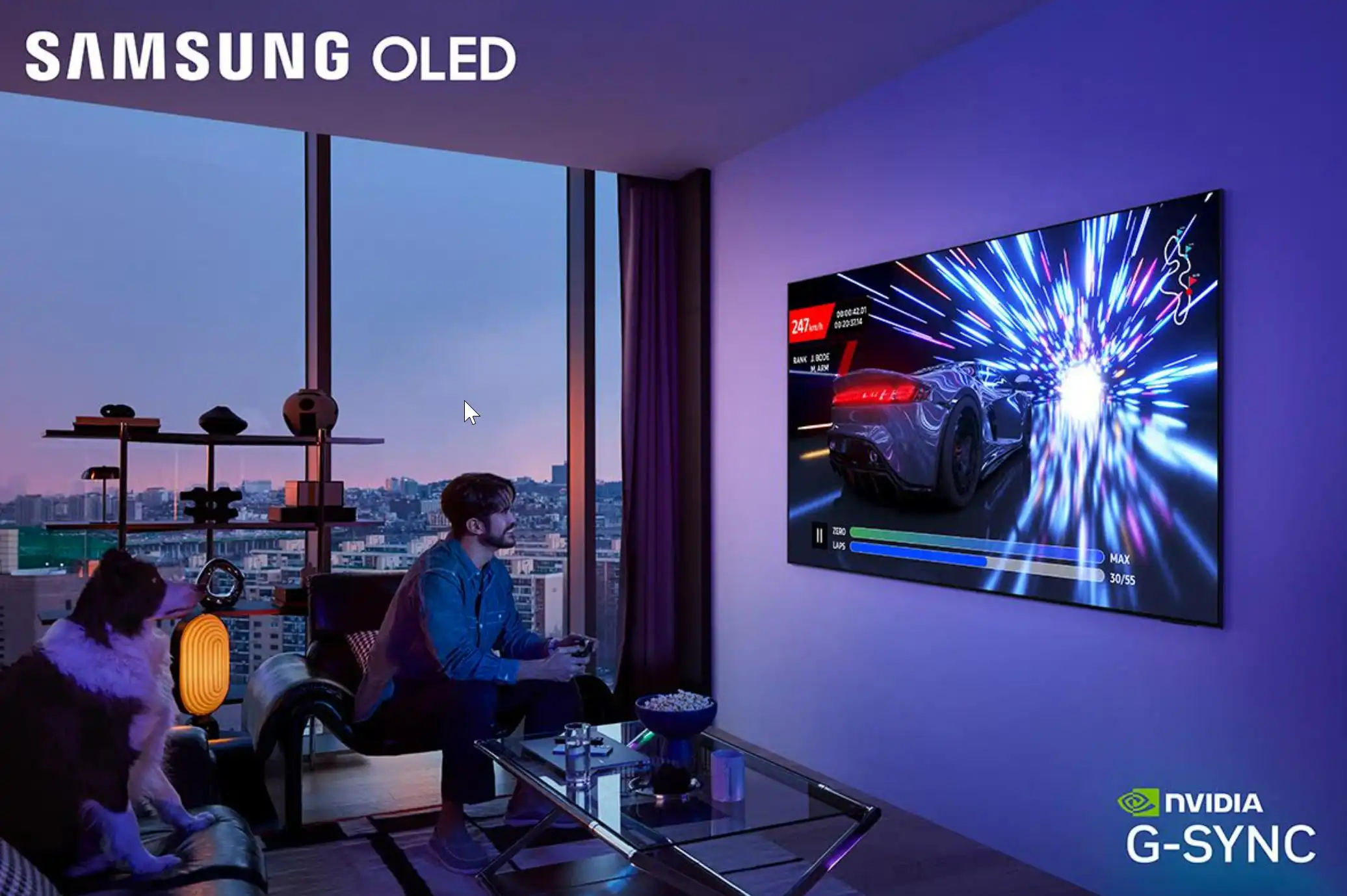 Samsung NVIDIA G-SYNC