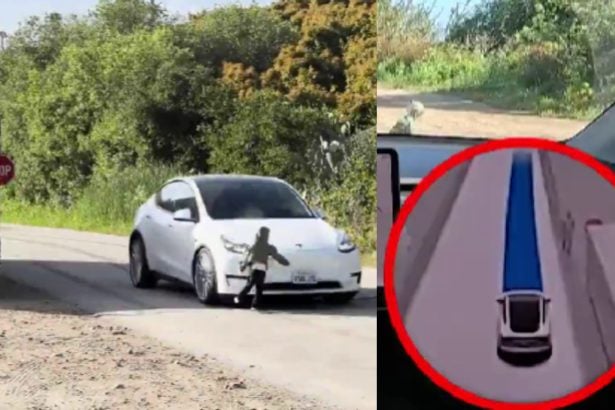 tesla skandal
