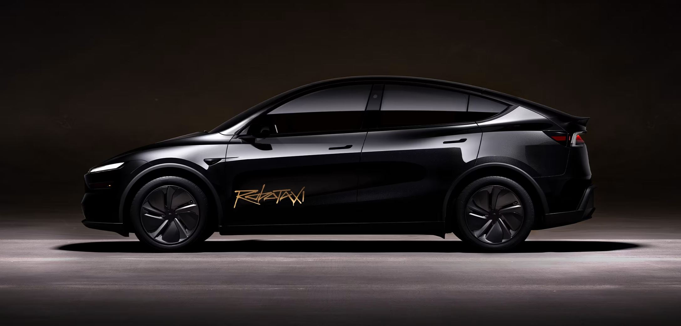 Tesla Robotaxi