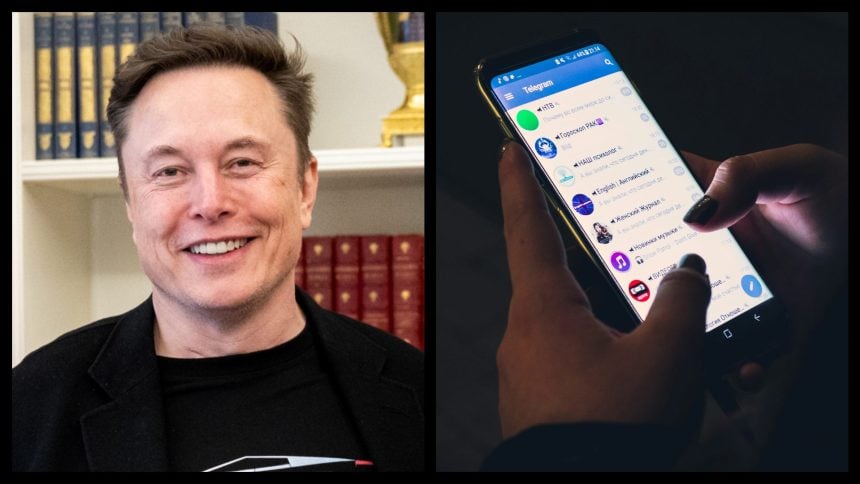 musk telegram