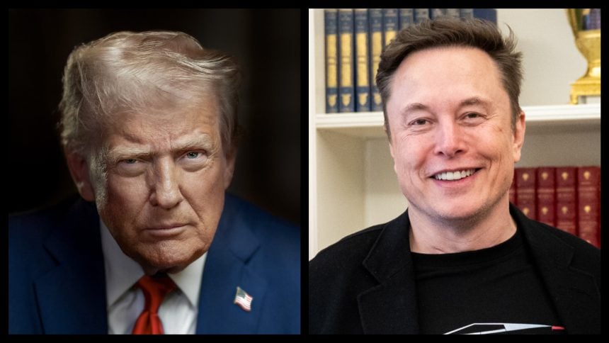 elon musk donald trump