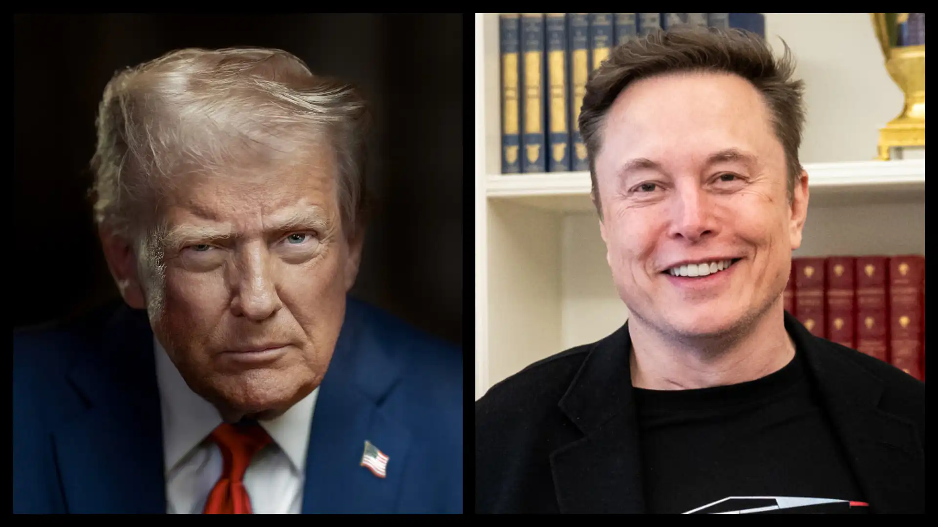 elon musk donald trump
