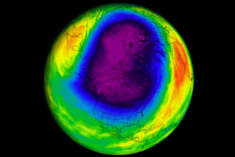 Polárny vortex