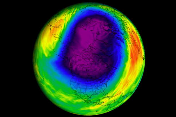 Polárny vortex