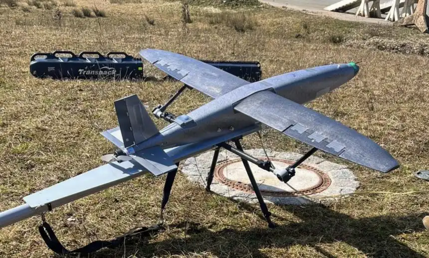 Hornet dron