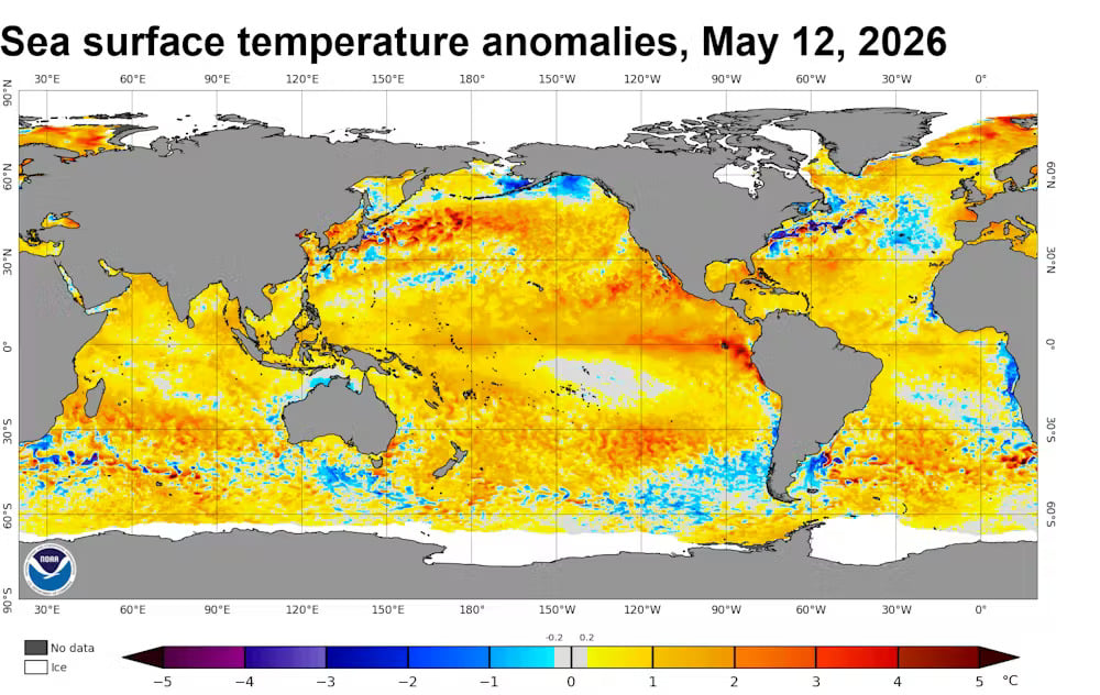 el nino