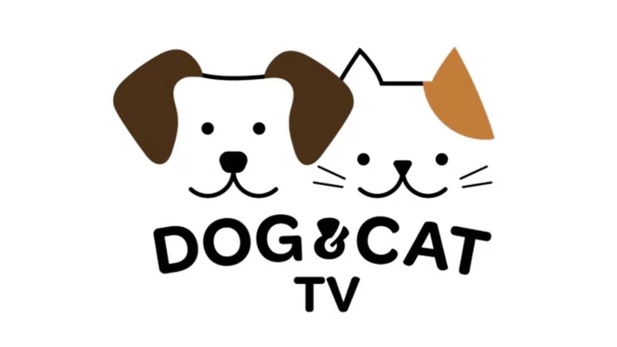 Dog & Cat TV